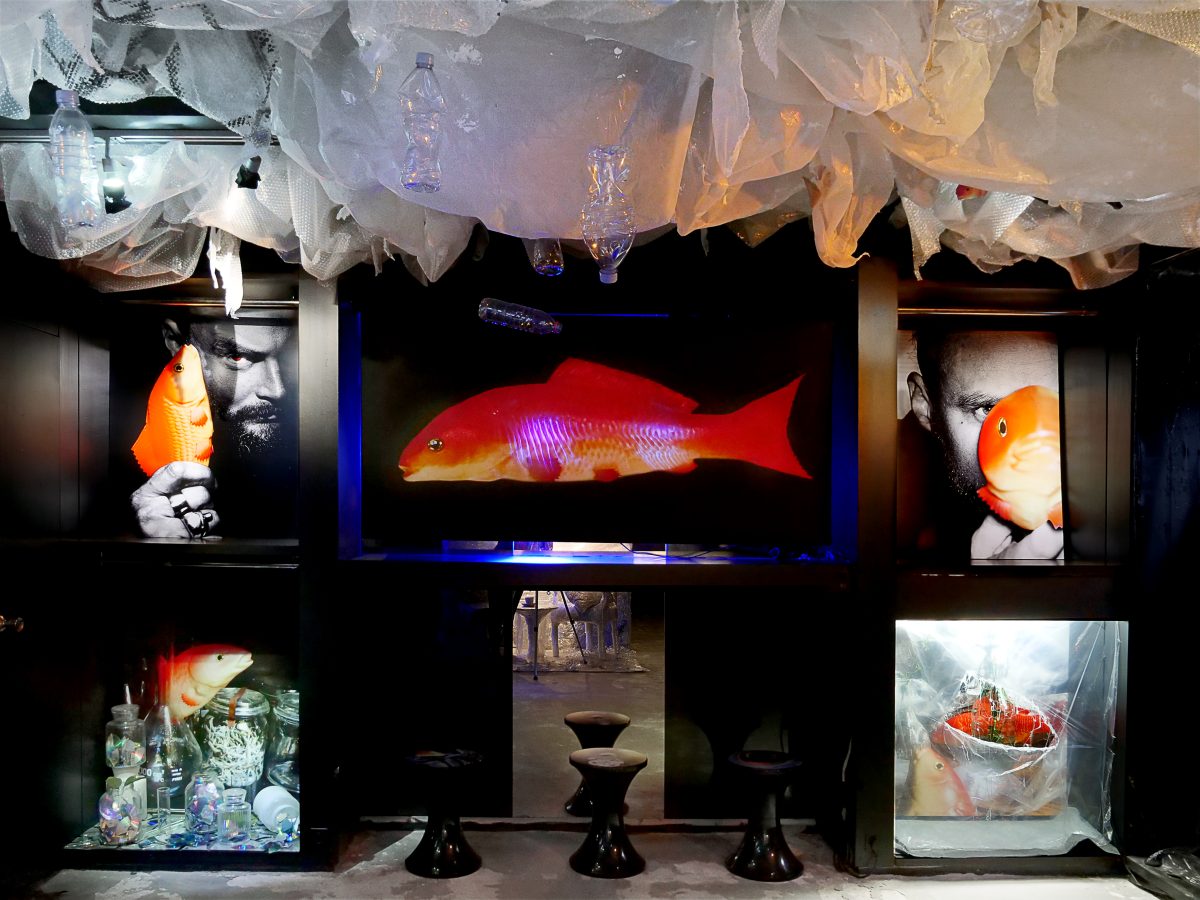 Cristobal en exposition au souplex Renoma