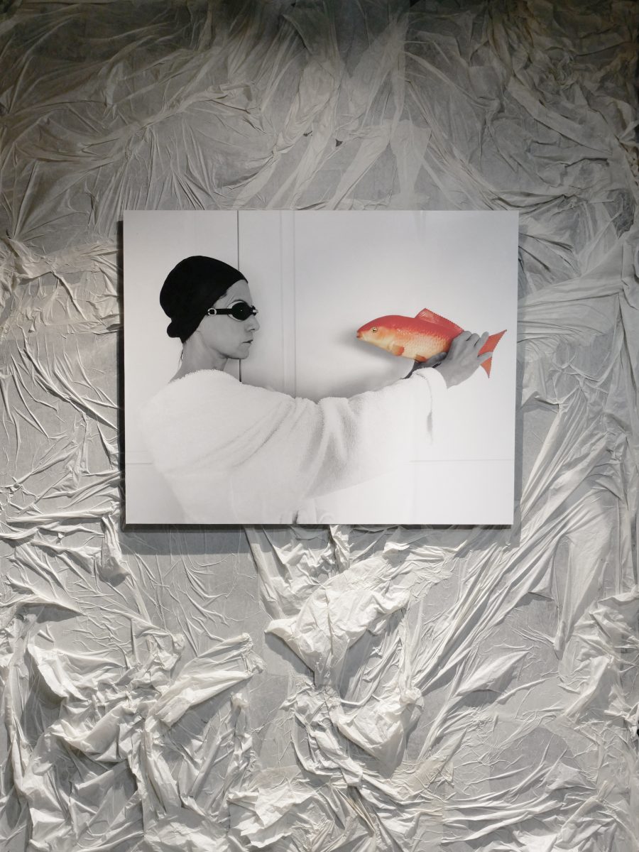 Souplex Renoma exposition Maurice Renoma Boutique Renoma