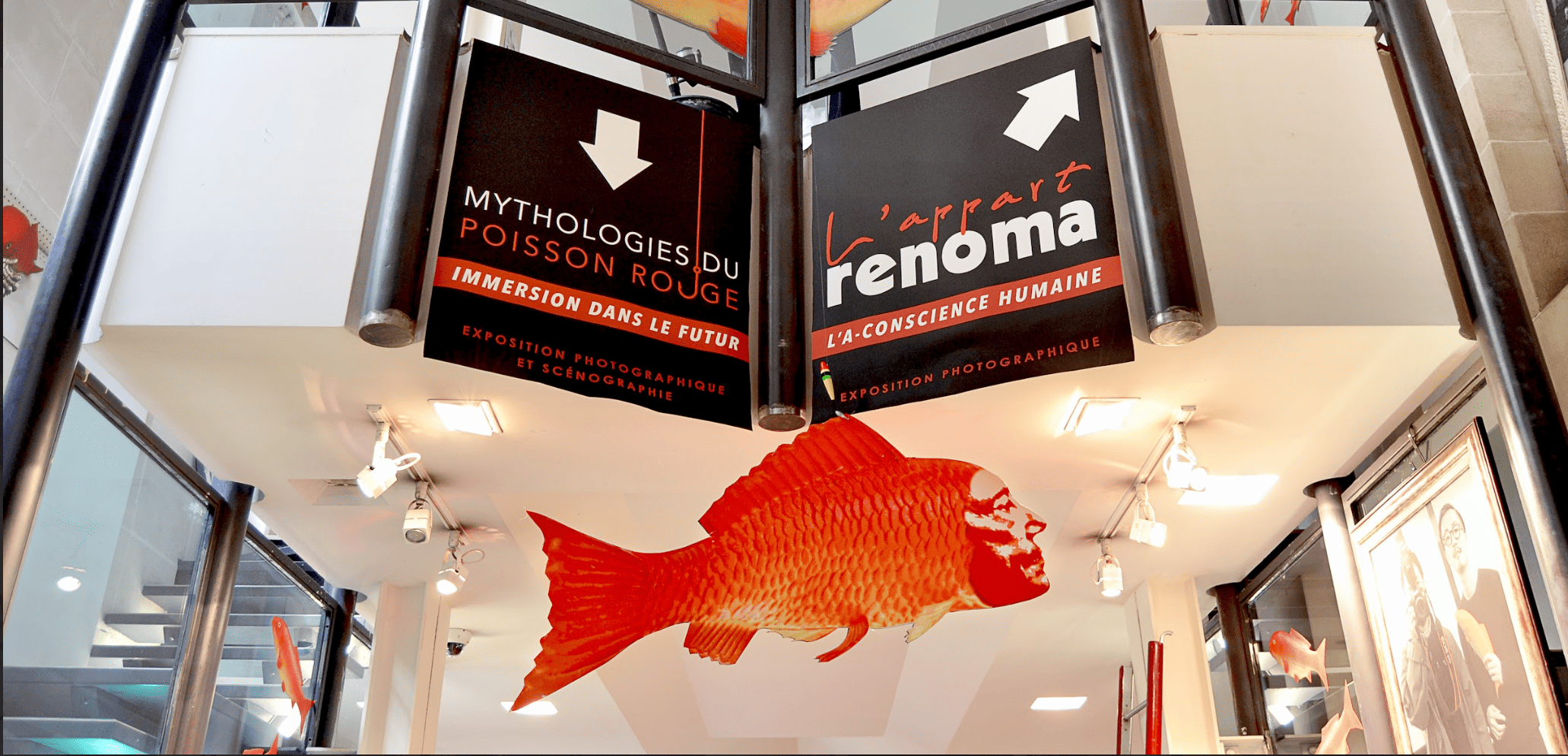 Cristobal Icone Renoma